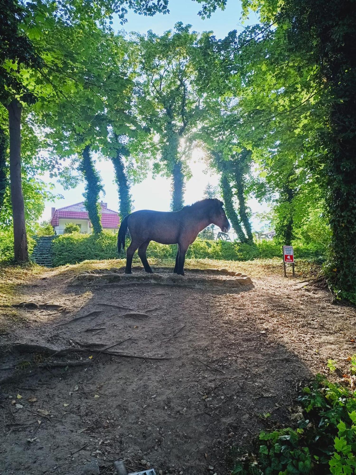 Domki Obok Plazy Hotel Moryn Buitenkant foto