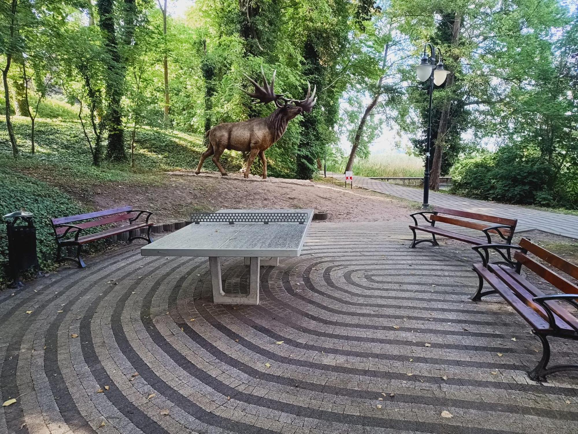 Domki Obok Plazy Hotel Moryn Buitenkant foto